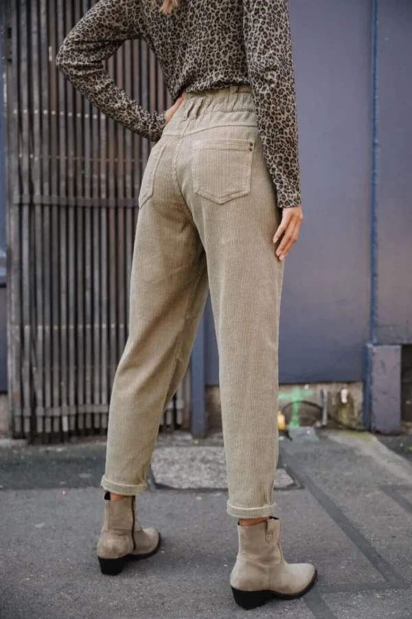 Freeman T. Porter Pantalons ColoréS | Taille Haute*Lara Veluto