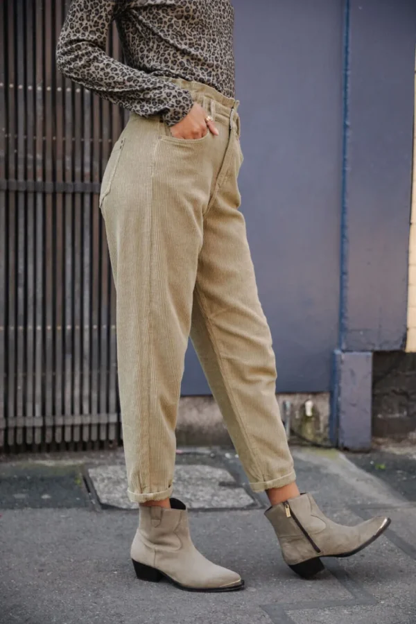 Freeman T. Porter Pantalons ColoréS | Taille Haute*Lara Veluto