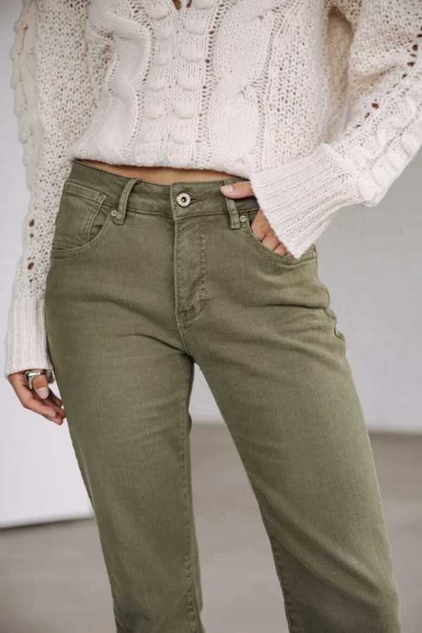 Freeman T. Porter Pantalons ColoréS | Taille Haute*Norma California