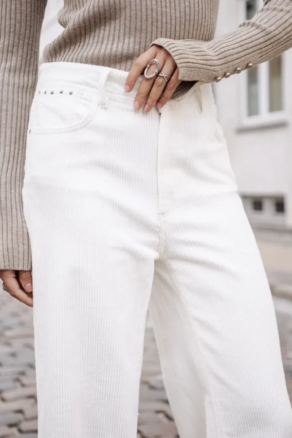 Freeman T. Porter Pantalons ColoréS | Taille Haute*Nylia Veluto